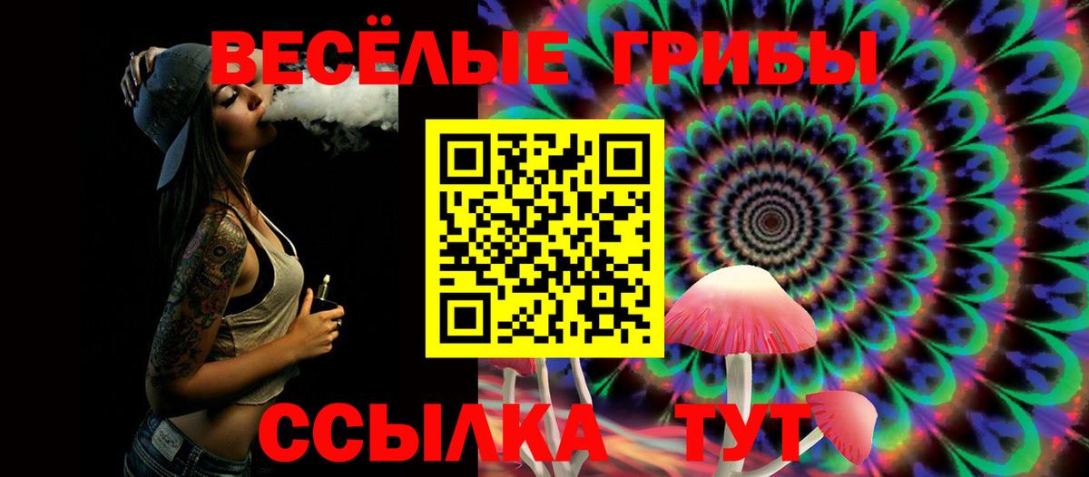 Волжский  Галлюциногенные грибы GOLDEN TEACHER  Вход с VPN 